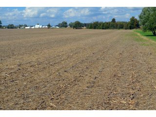 Property photo 69 - EHLE FARMS AUCTION - 118+/- ACRES IN 9 TRACTS IN ALLEN COUNTY, INDIANA